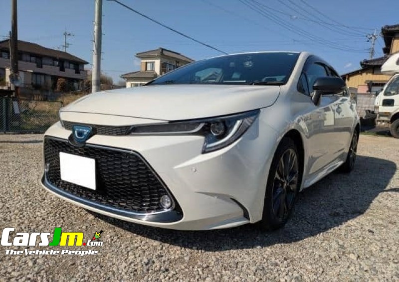 2019 Toyota Corolla For Sale 13959